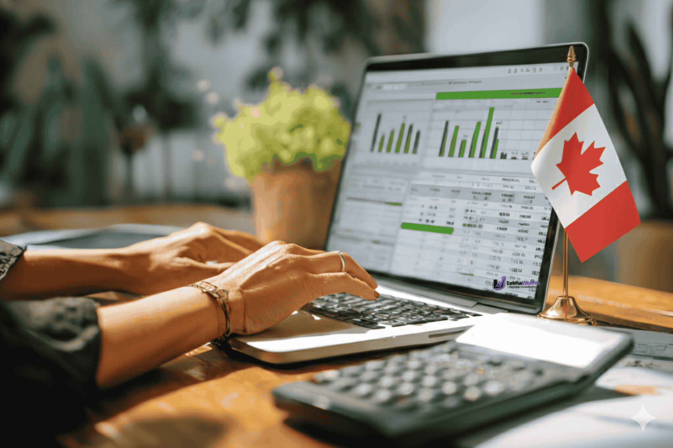 Canada accountancy outsourcing delivery team